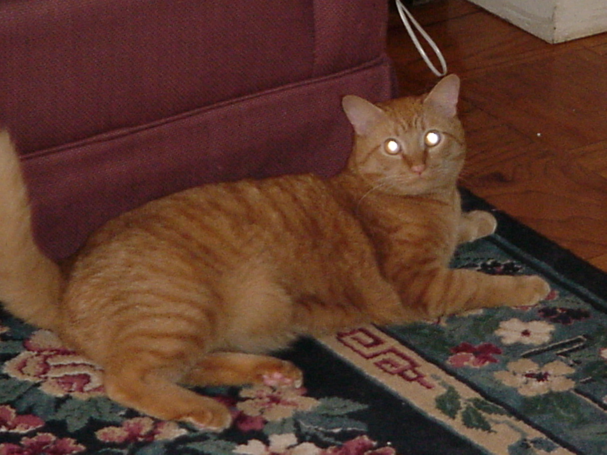 Solomon 08.jpg